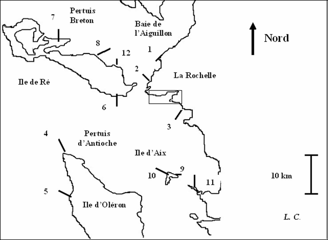 radiales_charente-maritime